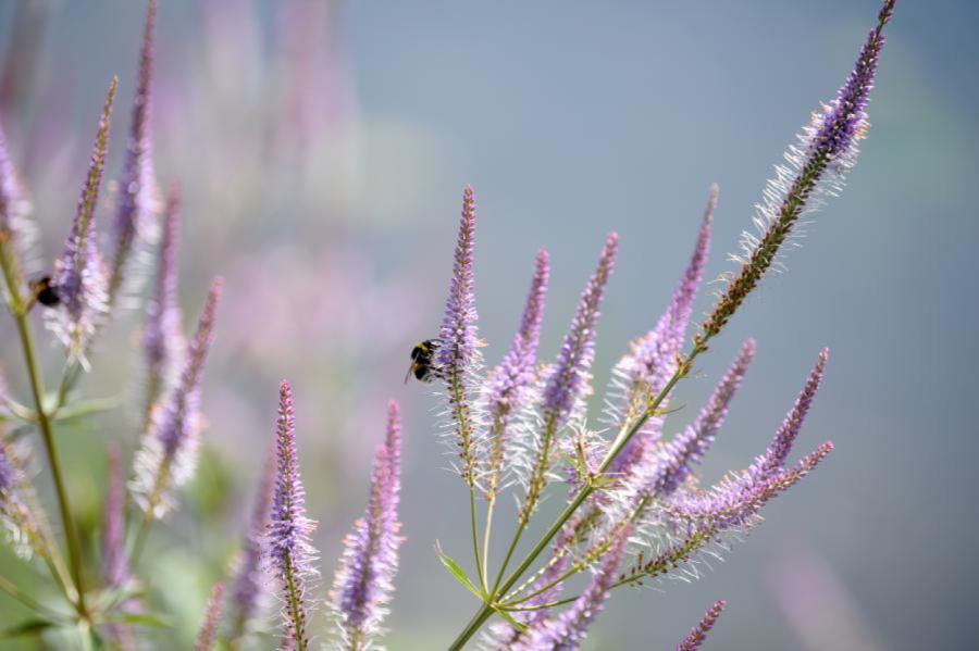Ceturtdien gaiss iesils līdz +23 grādiem