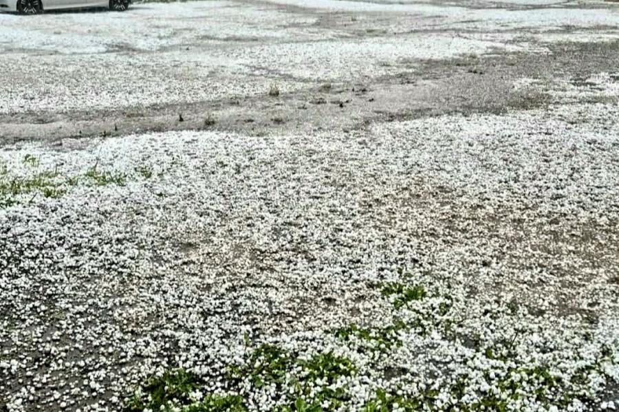 Viena atlīdzība par krusas radītiem bojājumiem pārsniedz 90 000 eiro (+VIDEO)