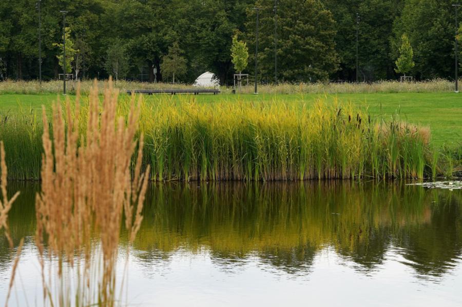 Ūdens temperatūra peldvietās vietām sasniedz 19 grādus