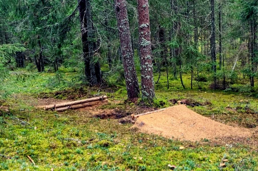 Gaujas Nacionālajā parkā konstatē nelikumīgu kalnu nobraucienu trasi